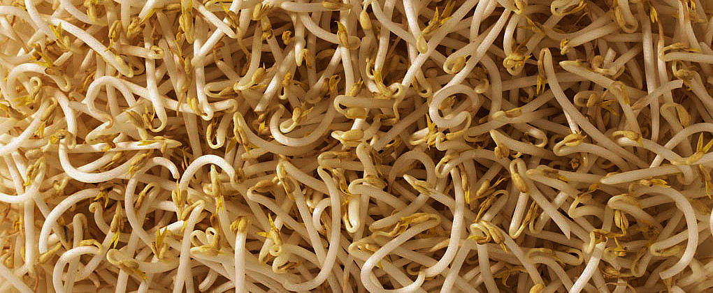 Soja sachet